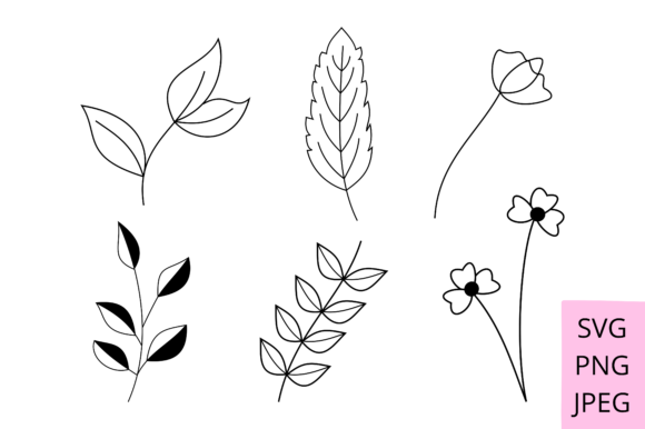 Botanical Line Art Graphic: A Versatile Design Asset