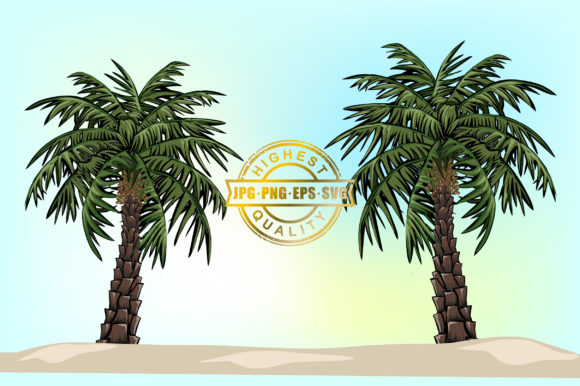 Date Palm Trees Graphics & Illustrations