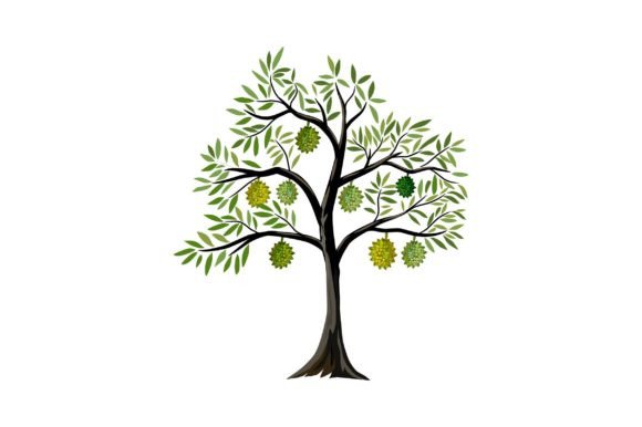 Durian Tree with Ripe Durian Fruit Graphics