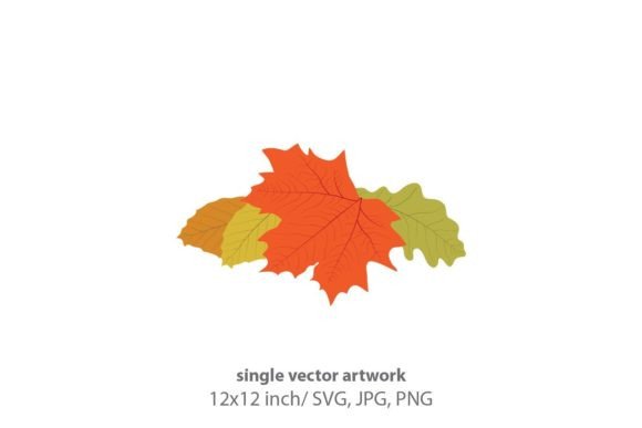Fall Leaves, Autumn Leaf Vector Graphics