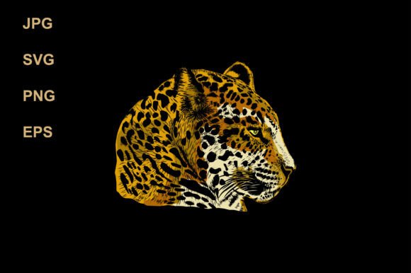 Jaguar Face Hand Drawn Illustrations Graphics