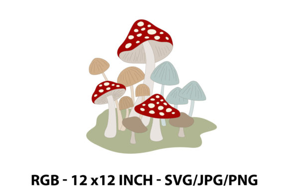 Mushrooms Graphics & Illustrations