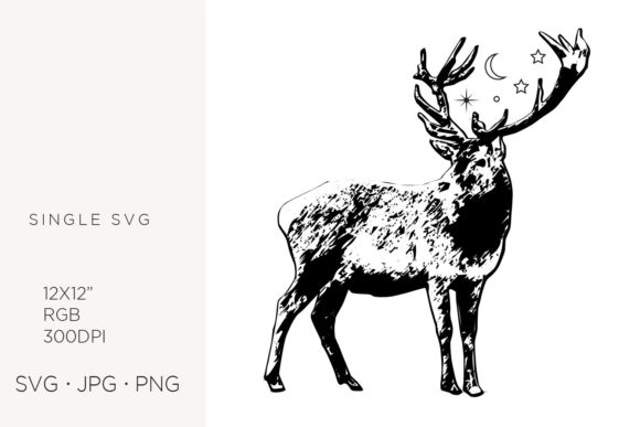Space Deer: Graphics and Illustrations for Local Branding